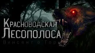 Страшные истории на ночь. Красноводская лесополоса. Creepypasta. Ужасы. Жуткие истории.