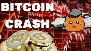 THE BITCOIN CRASH OF 2018 - WHAT HAPPENED?