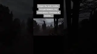 Атмосфера Сталкера #stalker #shorts #сталкер #shortvideo #atmoshpere #атмосферасталкер #sgm