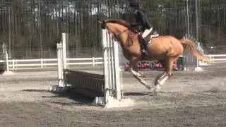 March Show on Oliver