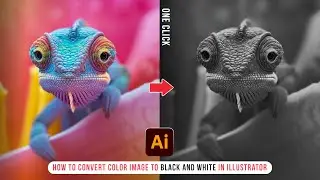 Convert Color Vector or image to Black and White in Illustrator | Grayscale | Illustrator Teachings