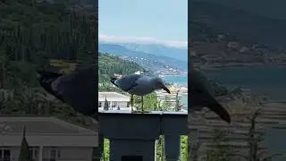Алушта 4.06.2023