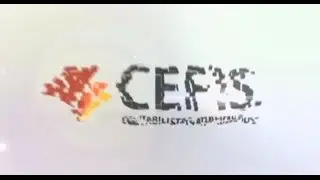 CEFIS -  Contabilista Atualizado