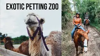 GOING TO AN EXOTIC PETTING ZOO +Horseback Riding