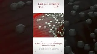 Can you guess this Organism  ? 🤔🧐🤓 #quiz 344  #shorts