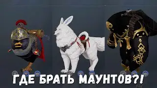 TRAHA Global - Гайд по Ездовым животным (Транспорту)! Где брать Маунтов?!