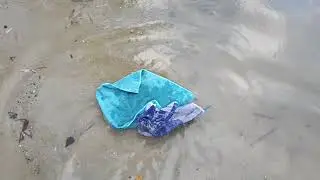 КАРТИНА РЕПИНА