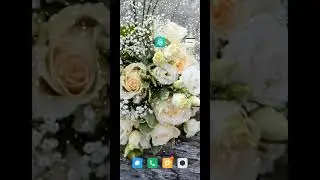 To Change text to stylish text in whatsApp
