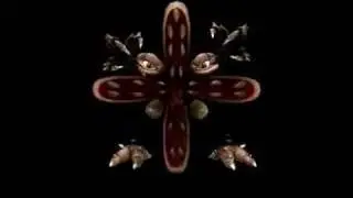 Scary Spore
