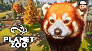 O Panda Vermelho mais Fofo! | Planet Zoo #02 | Gameplay pt br