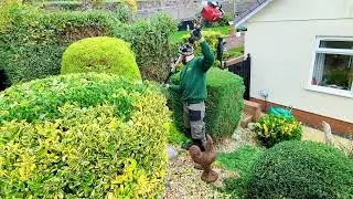 27 garden shrub CUTS !