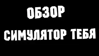 ОБЗОР - СИМУЛЯТОР ТЕБЯ