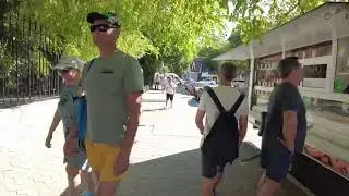 ДИВНОМОРСКОЕ 🌞УТРЕННЯЯ ПРОГУЛКА С МОРЯ НА УЛИЦУ КОШЕВОГО 🤔
