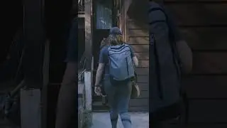 Welcome to the cabin
