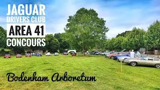 JDC Area 41- Bodenham Arboretum