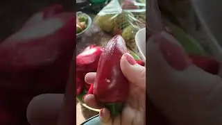 Сорта для заморозки-фаршировки.
