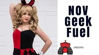 Harley Quinn November Geekfuel Unboxing