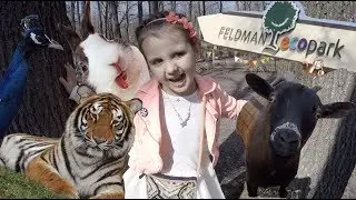 Где погулять в Харькове? Обзор Экопарка Фельдмана.