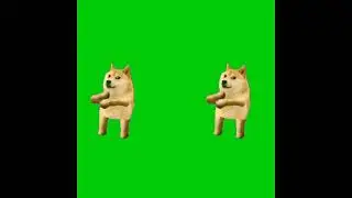 Doge dance, Ajg Joget, Doge Meme, Greenscreen DogeMeme