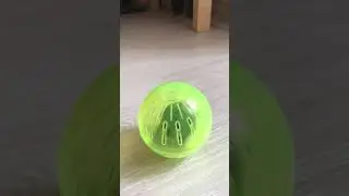 Шар для джунгарика