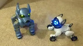 Wowwee CHiP versus I-Cybie