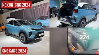 4 CNG Cars Launching In September 2024 | The STG Cars
