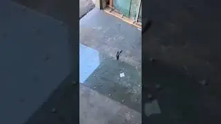 жиза👍😾