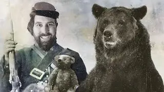 Teddy Bears, War & Quarantine, The TRUE Origin of the Teddy Bear