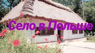 ПОЛЬСКОЕ СЕЛО // ЖИЗНЬ В ПОЛЬСКОМ СЕЛЕ//vlog