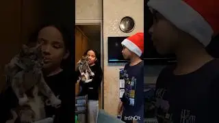 happy new year family,even the cat was brought today hbd🤣