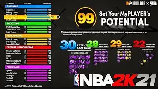 THE BEST BUILD on NBA 2K21 NEXT GEN! MY FINAL DEMIGOD BUILD!