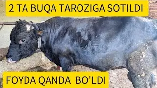 2 TA BUQA SOTILDI TAROZIGA