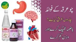 Arq Chuarqa kya hai aur is ke kya fayde hain? | Chuarqa weight loss ke liye
