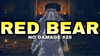 Red Bear (No Damage) Elden Ring Shadow of The Erdtree