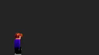 Flight - animation test