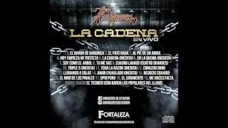 Los Amigueros de la Sierra - La Cadena (Disco En Vivo 2017)