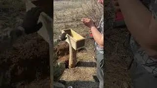 Солонец