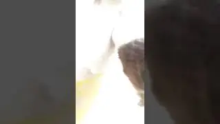 Погоня