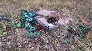 Поглядели чем кормят кабанов. Встретили трофейного быка.