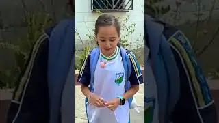 no  bullying