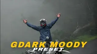 Moody Dark Green Presets - Lightroom Mobile Presets DNG | Moody Dark Green LightroomPreset