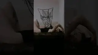 Do ré mi … 