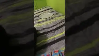 Mouse sound effect