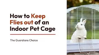 3 Ways to Keep Flies out of an Indoor Pet Cage | The Guardian's Choice