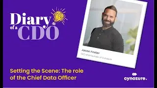 Diary of a CDO - Setting the Scene: The role of the Chief Data Officer
