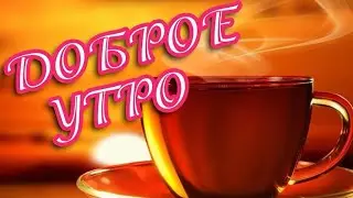 С добрым утром. С новым днем. Чудесного утра. Пожелания друзьям.