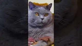 Мой Гарри. В память о нём