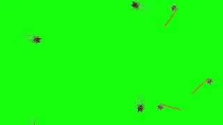 Peacock Feather GreenScreen