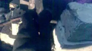 Видео003.3gp