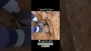 ٣١ يناير ٢٠٢٣